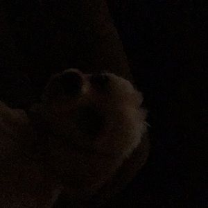 Meet your Posher, Shirley